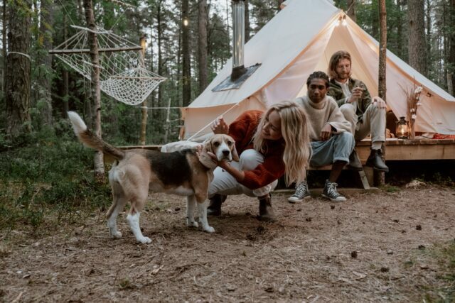 A woman petting a dog in a camping trip.
