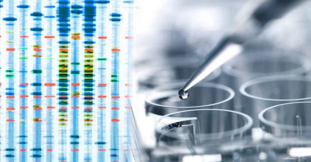 Putting sample in a dish for a genetic testing.