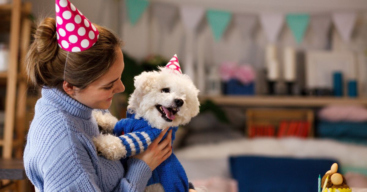 A dog celebrating its birthday with its owner.