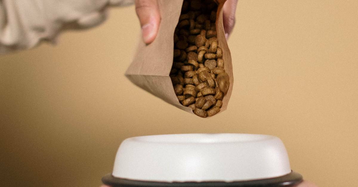 A hand pouring dog food into a bowl from a brown bag.