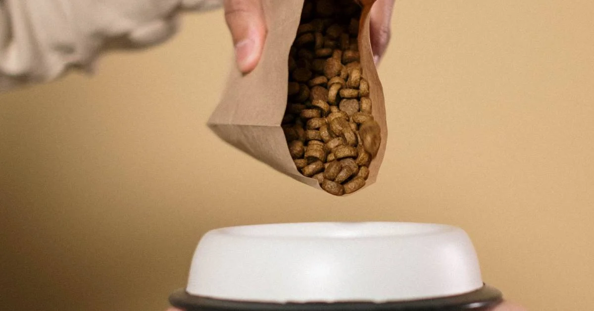 A hand pouring dog food into a bowl from a brown bag.