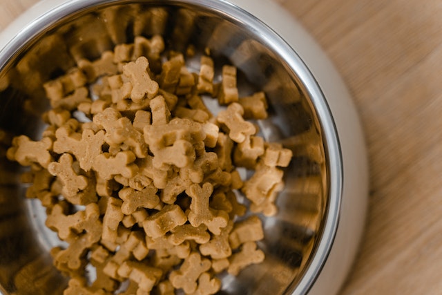 Dog food in a stainless feeding bowl.