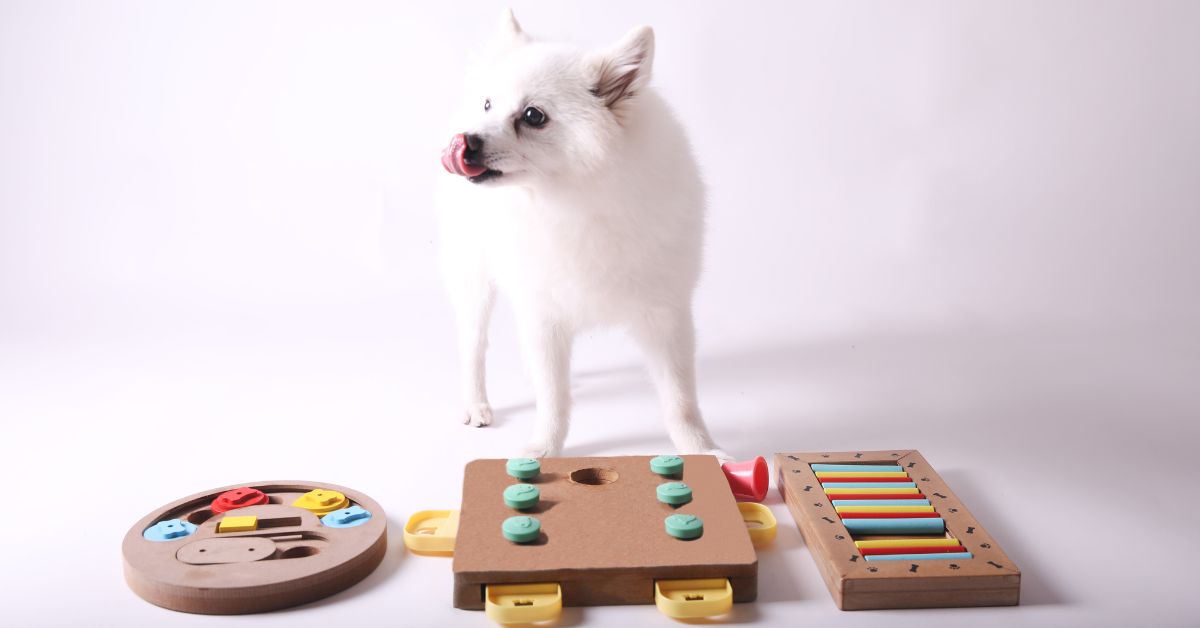 Different puzzle games for dogs and puppies.