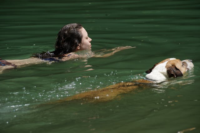 A dog and its owner swimming on a lake.