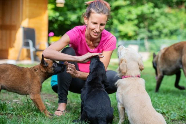 Female dog instructor training three puppies at the same time.