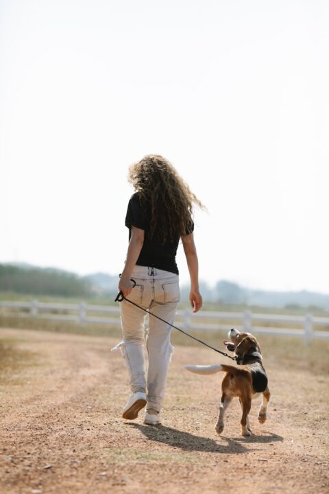 Afemale owner walking with dog in countryside.