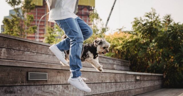 A person running downstairs with cute dog in park.