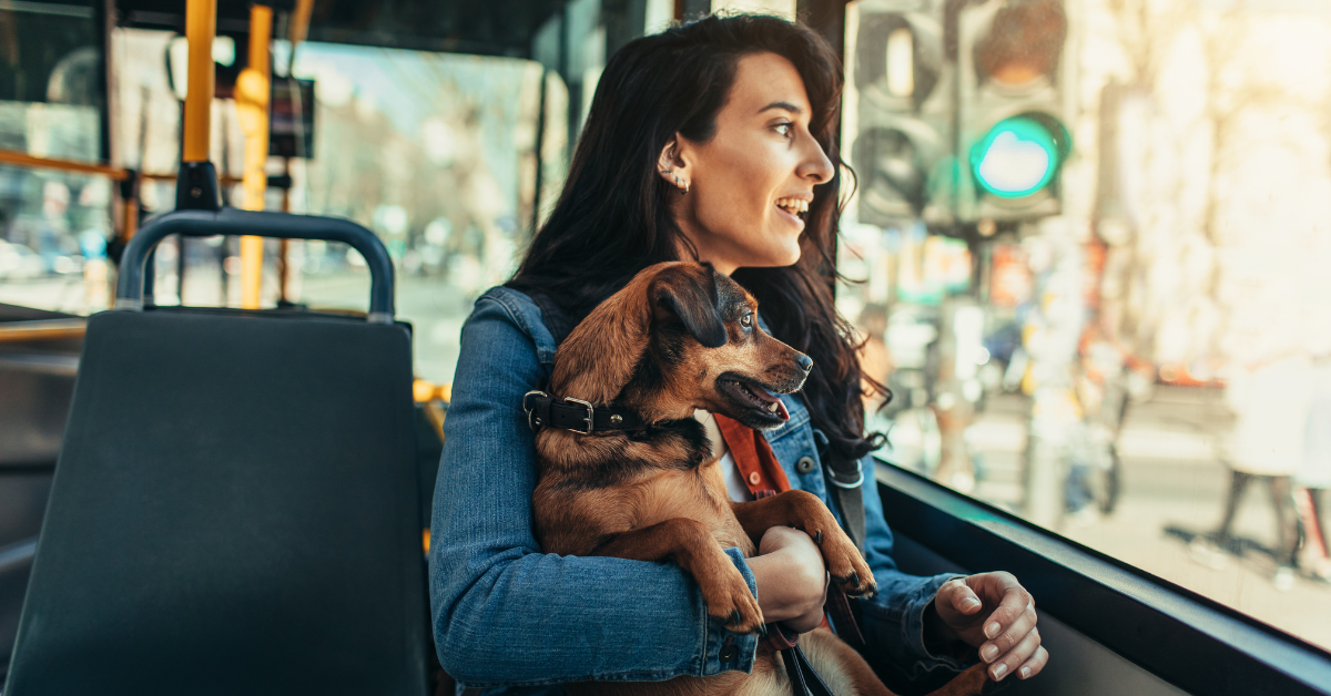 Young woman with a dog in public bus.