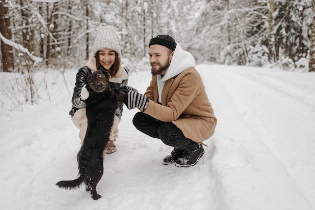 A man and a woman playing with a dog in the snow.
