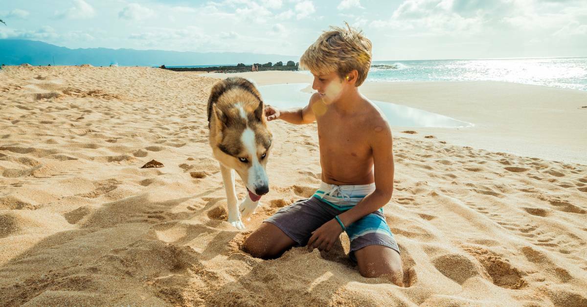 A kid and a dog during a beach holiday.