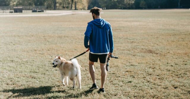 A man walking its dog a open grass field.