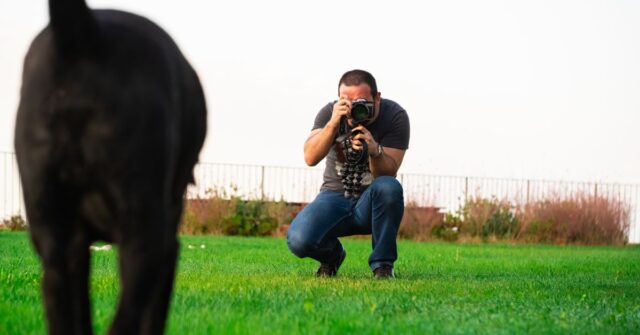 A photographer taking picture of a black dog.