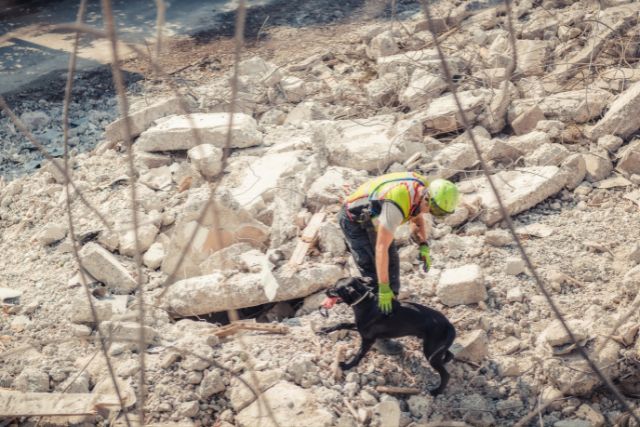 A dog searching ruins with its handler.