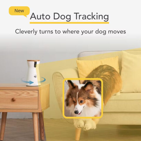 A new feature of the Furbo app where the camera can automatically move as it tracks your dog moving around the room.