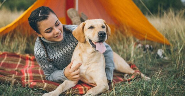 Woman laying down with her Labrador and a tent in the background.