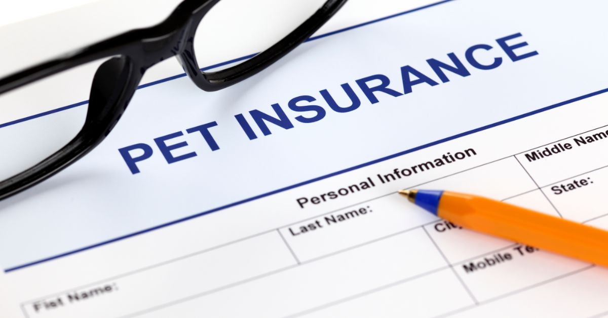 Pet insurance form with glasses and pen ready to fill out.